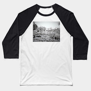 Winter in the garden 2 Baseball T-Shirt